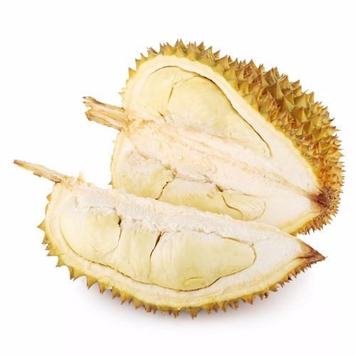 九游网页版入口产品名称二