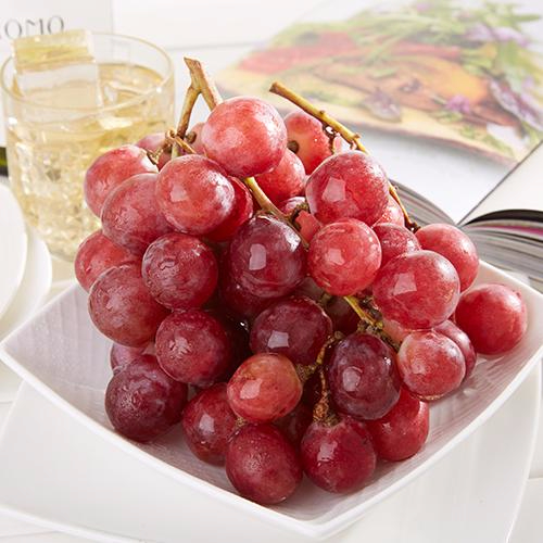 九游网页版入口产品名称五